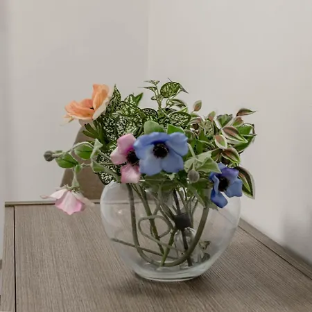 H11 M Town 119 - Centro Appartement San Remo